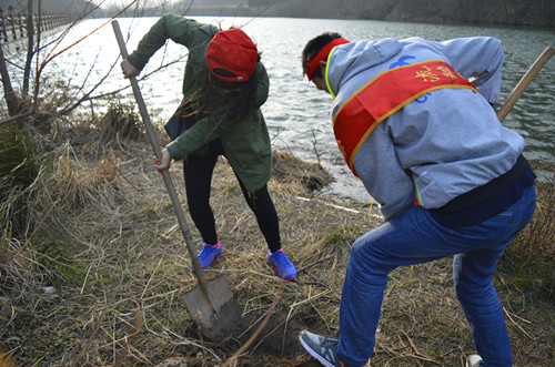拷贝漫画
开展义务植树活动