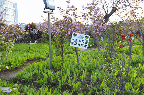 拷贝漫画
举办挂树牌活动